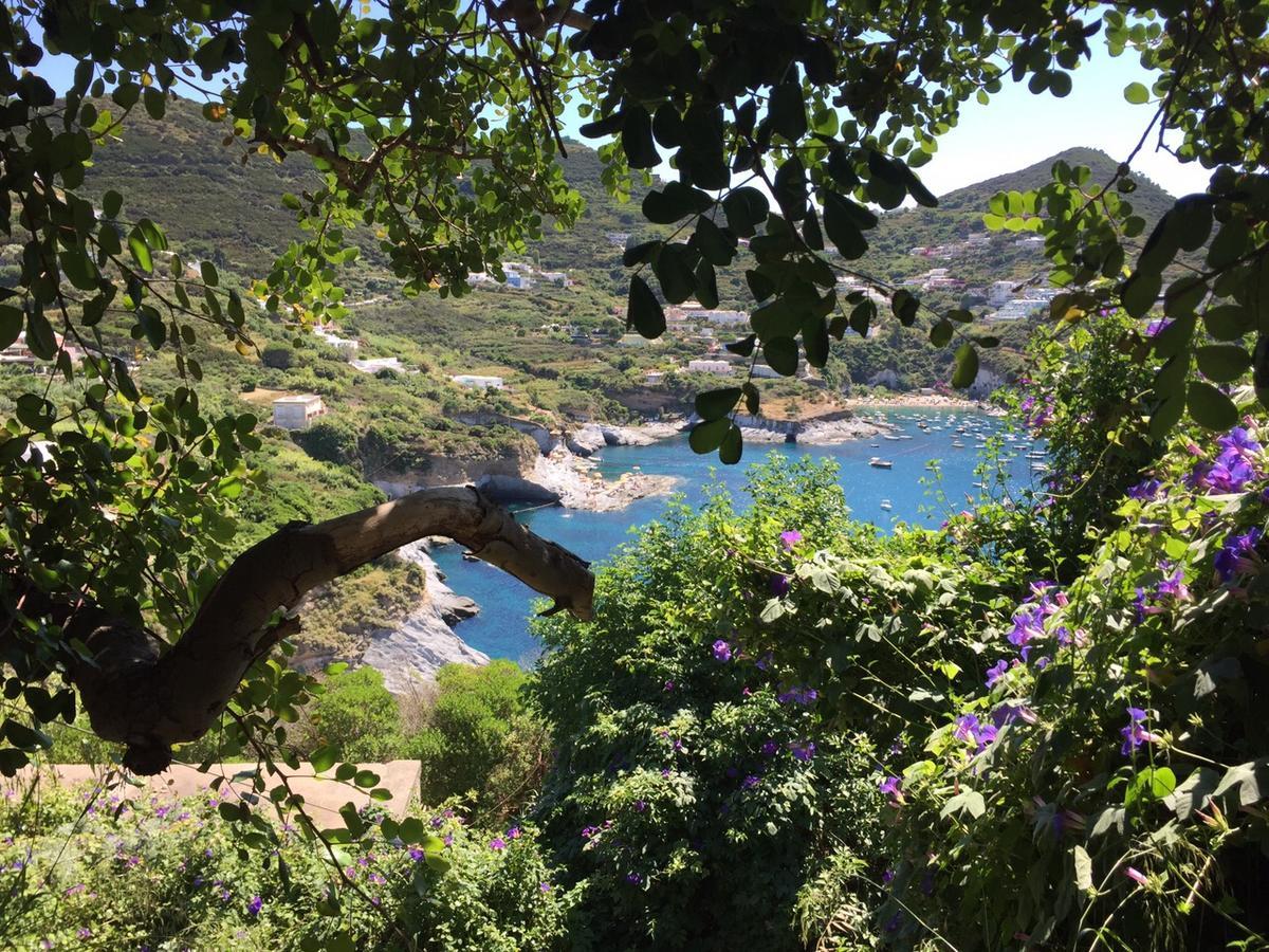 Hotel Ortensia Ponza Dış mekan fotoğraf